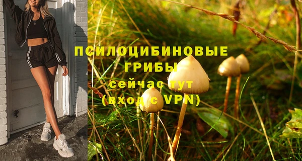 jwh Алзамай