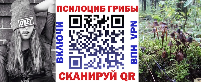 Галлюциногенные грибы прущие грибы  Данков 